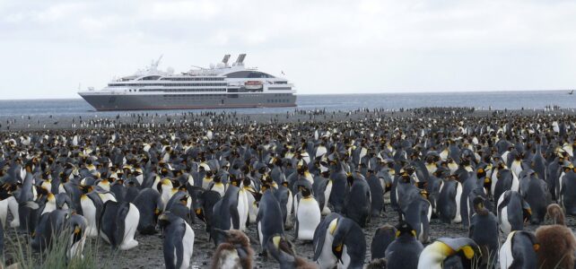 Le prix d’une croisière en Antarctique : tout ce que vous devez savoir